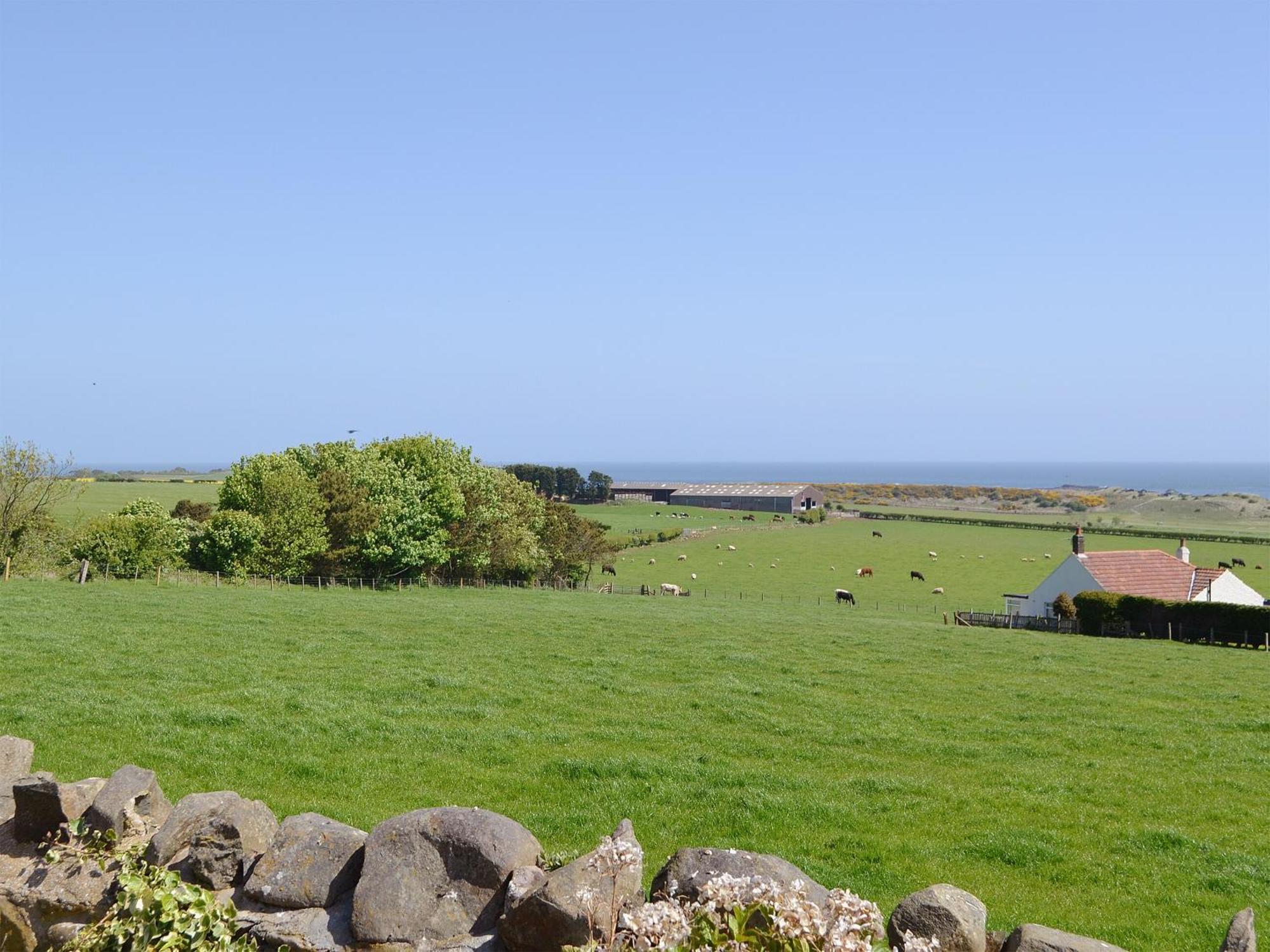 Eider Cottage Embleton  Luaran gambar